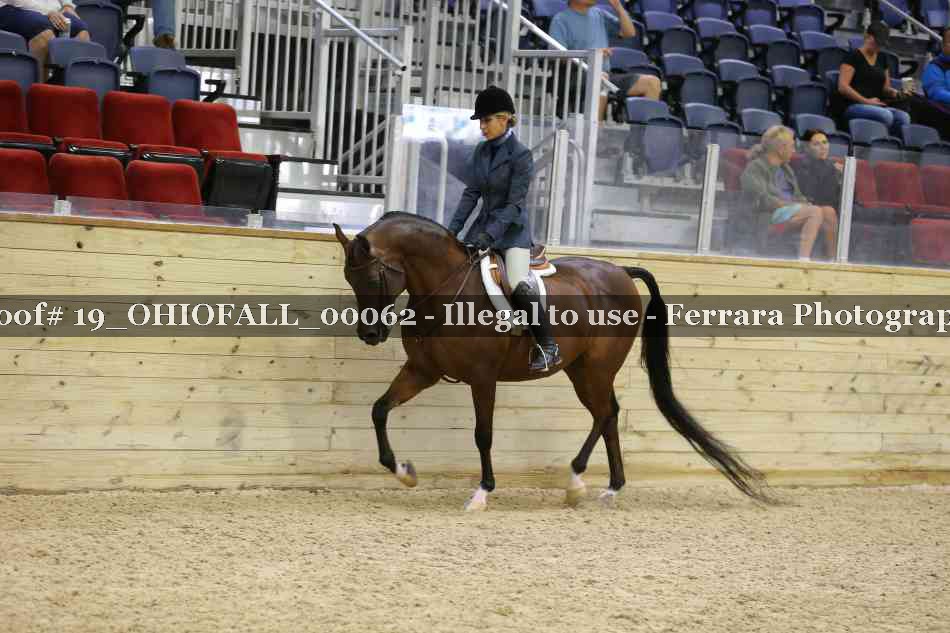 Proof 19_OHIOFALL_00062