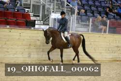 19_OHIOFALL_00062 proof
