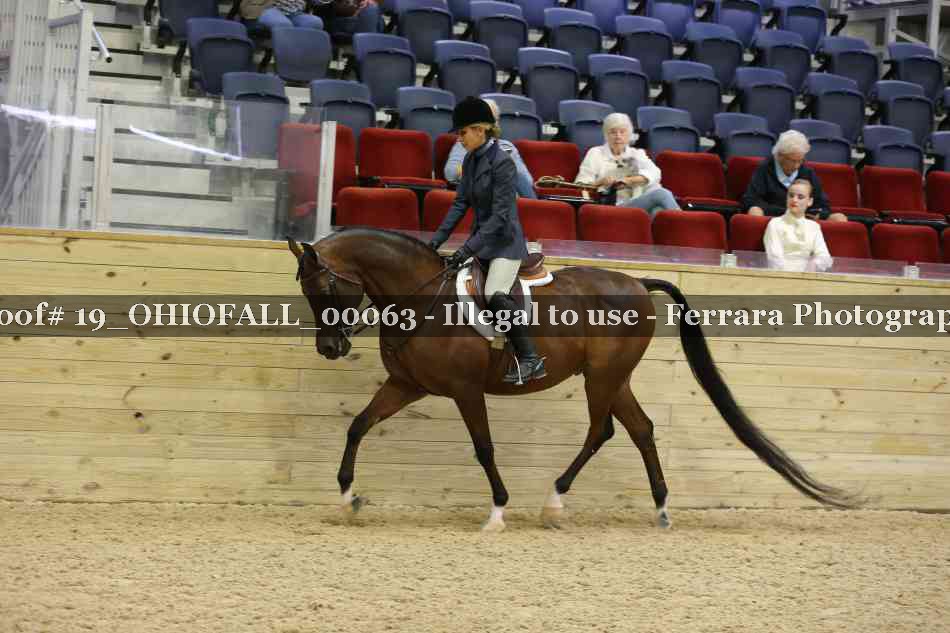 Proof 19_OHIOFALL_00063