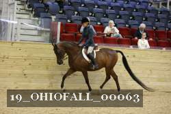 19_OHIOFALL_00063 proof