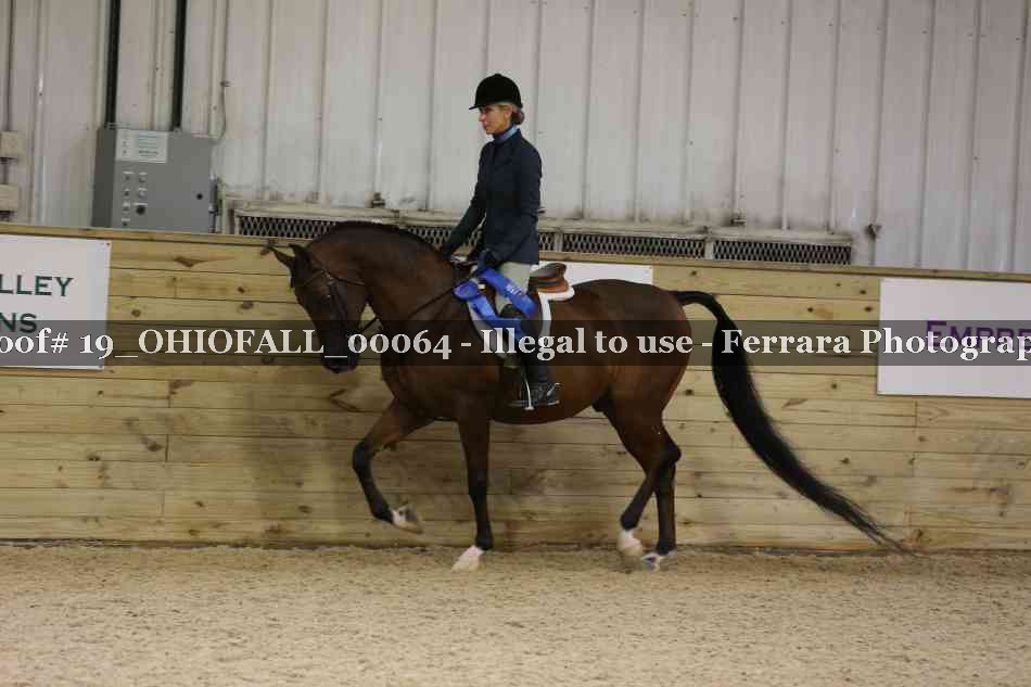Proof 19_OHIOFALL_00064