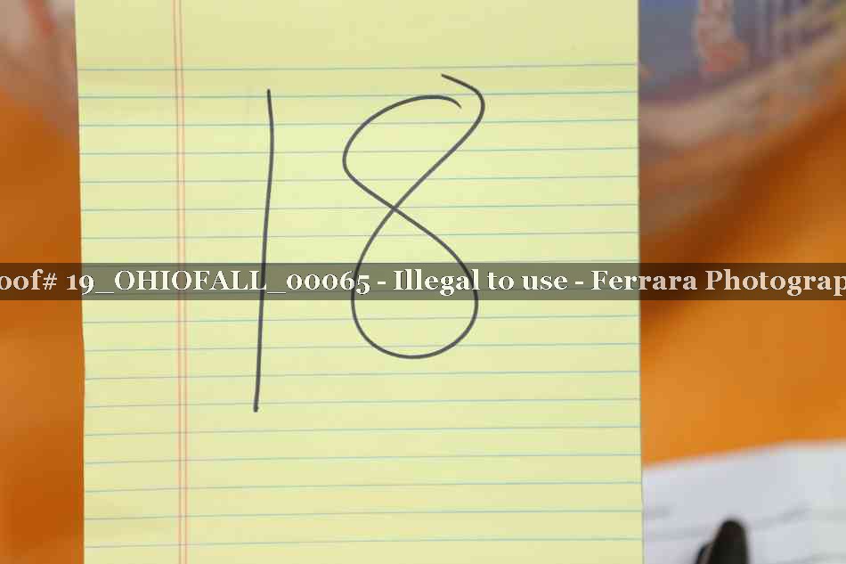 Proof 19_OHIOFALL_00065