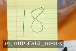 19_OHIOFALL_00065 proof