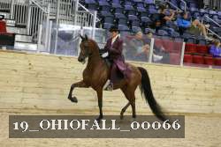 19_OHIOFALL_00066 proof