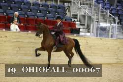19_OHIOFALL_00067 proof