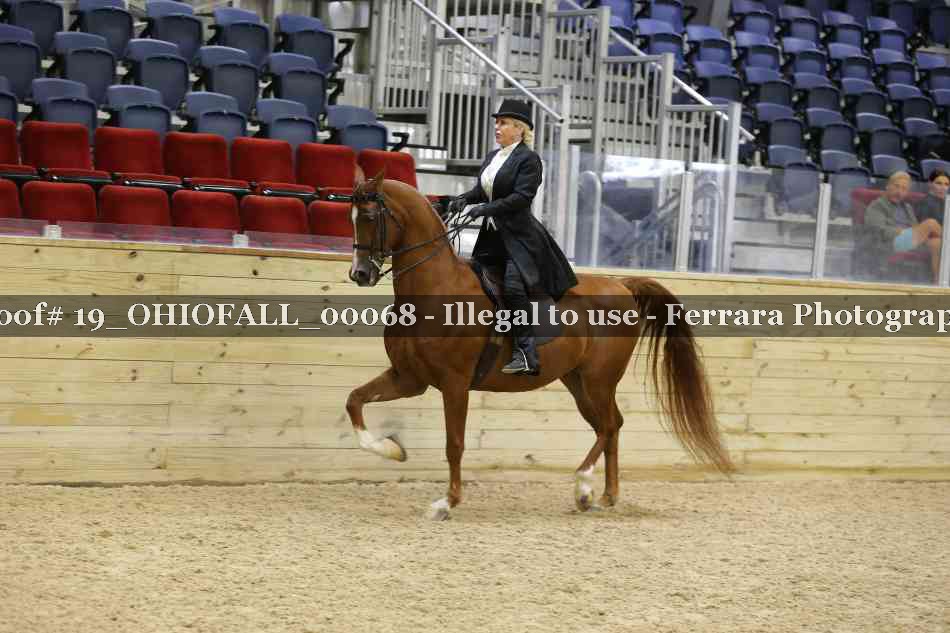 Proof 19_OHIOFALL_00068