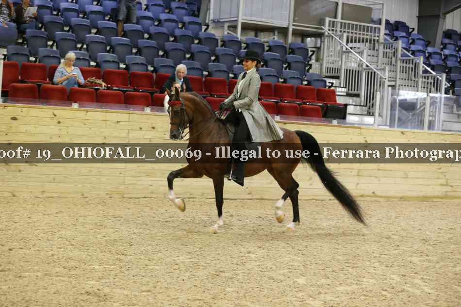Proof 19_OHIOFALL_00069