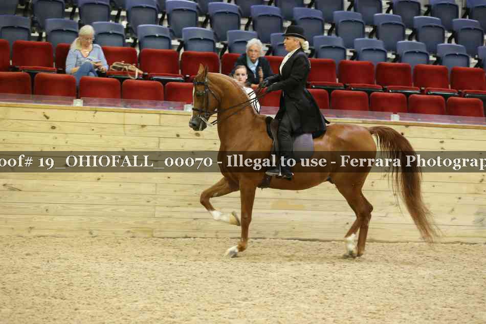 Proof 19_OHIOFALL_00070