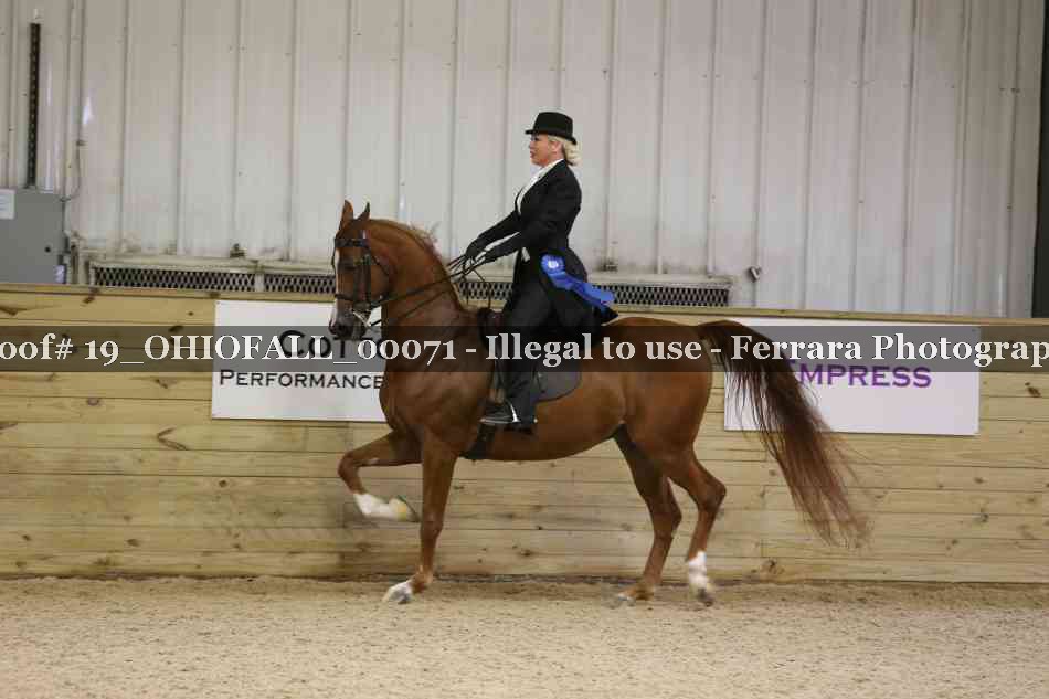 Proof 19_OHIOFALL_00071