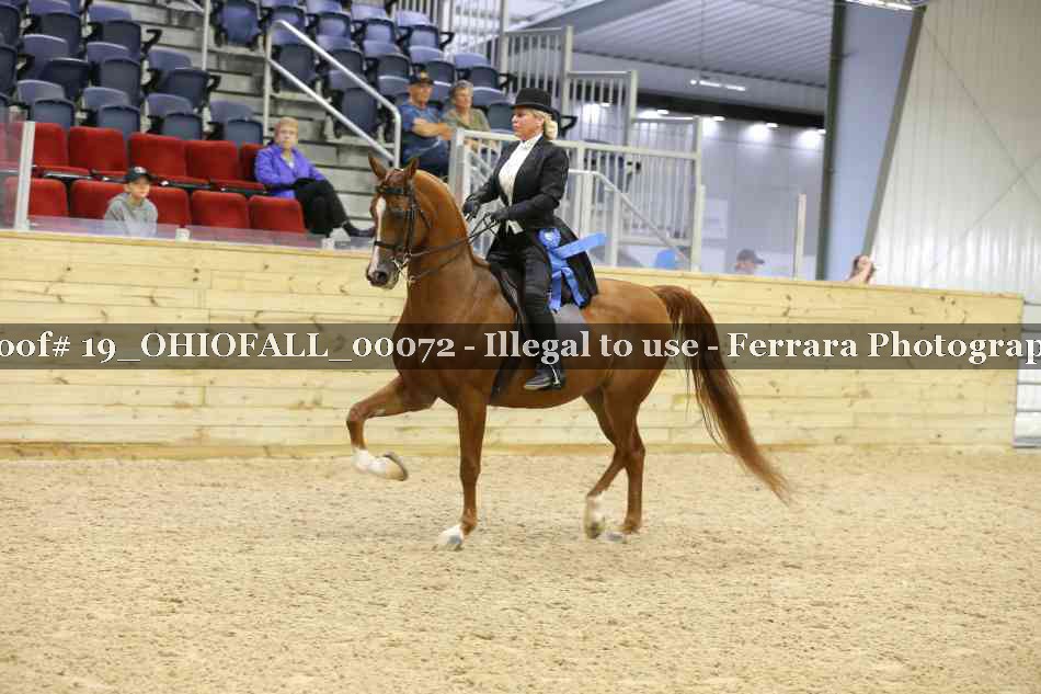 Proof 19_OHIOFALL_00072