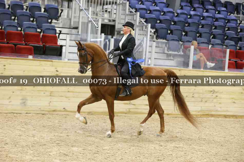 Proof 19_OHIOFALL_00073