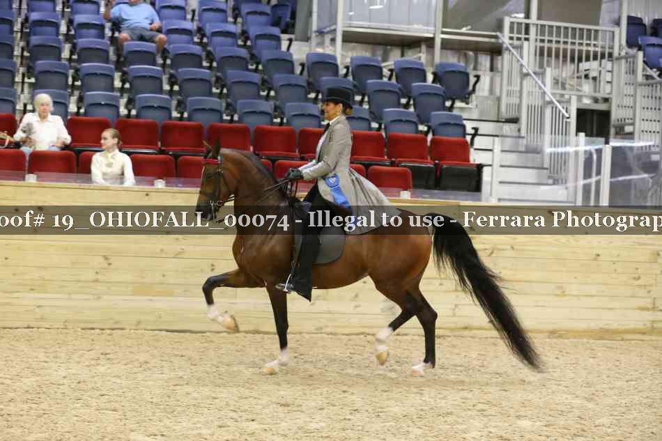 Proof 19_OHIOFALL_00074