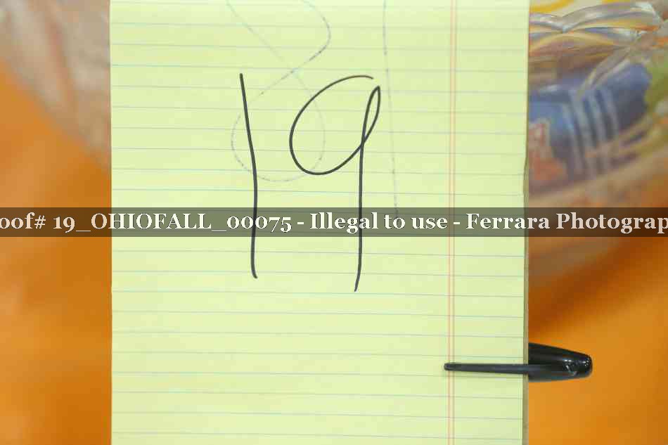Proof 19_OHIOFALL_00075