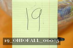 19_OHIOFALL_00075 proof