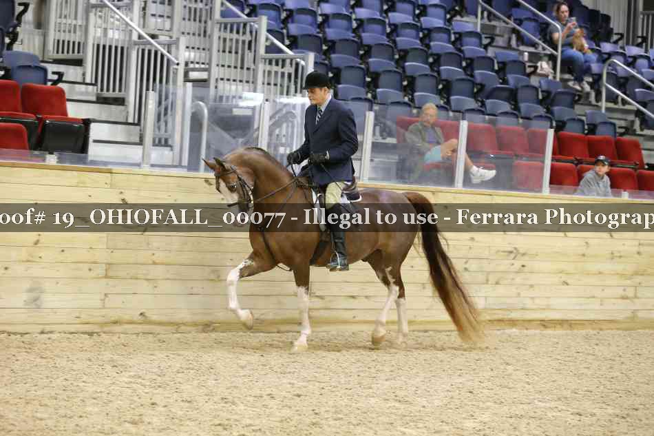 Proof 19_OHIOFALL_00077