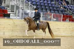 19_OHIOFALL_00077 proof