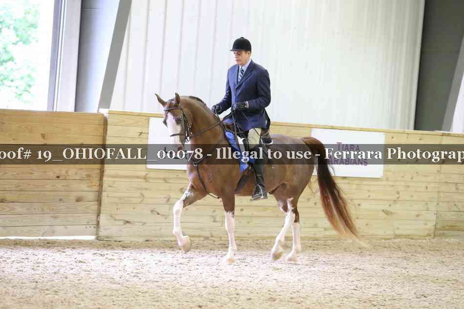Proof 19_OHIOFALL_00078