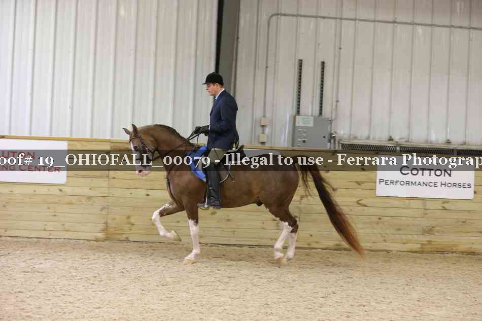 Proof 19_OHIOFALL_00079
