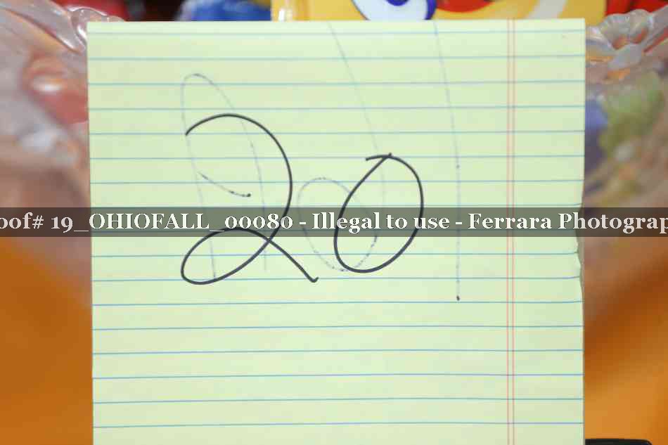 Proof 19_OHIOFALL_00080