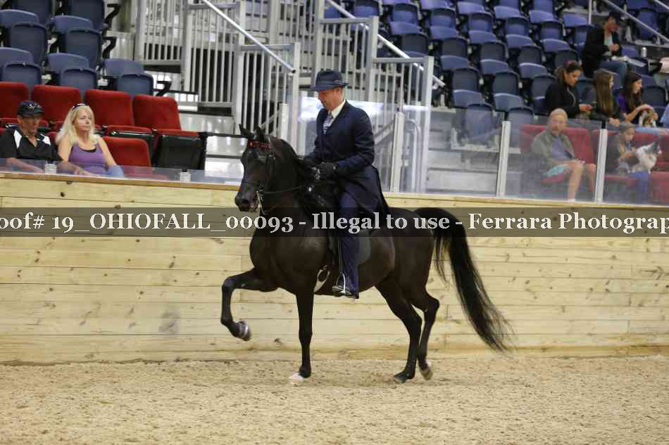 Proof 19_OHIOFALL_00093