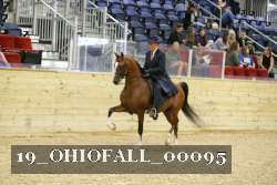 19_OHIOFALL_00095 proof