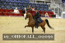 19_OHIOFALL_00096 proof
