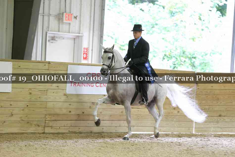 Proof 19_OHIOFALL_00100