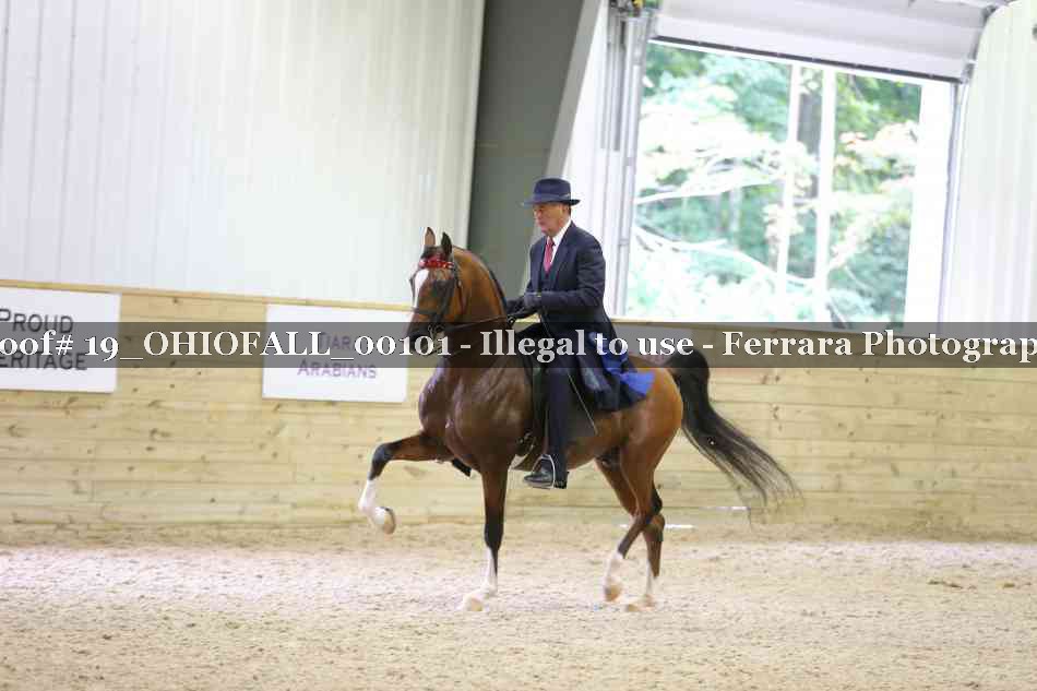 Proof 19_OHIOFALL_00101