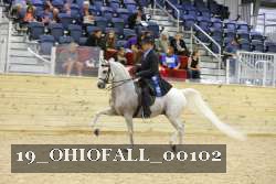 19_OHIOFALL_00102 proof