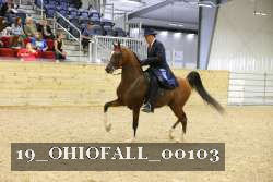 19_OHIOFALL_00103 proof