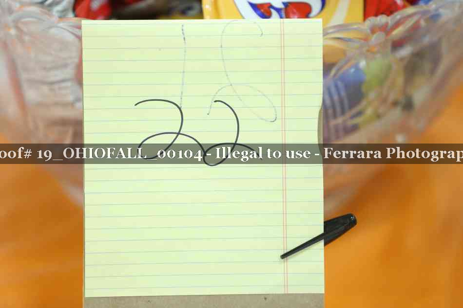 Proof 19_OHIOFALL_00104