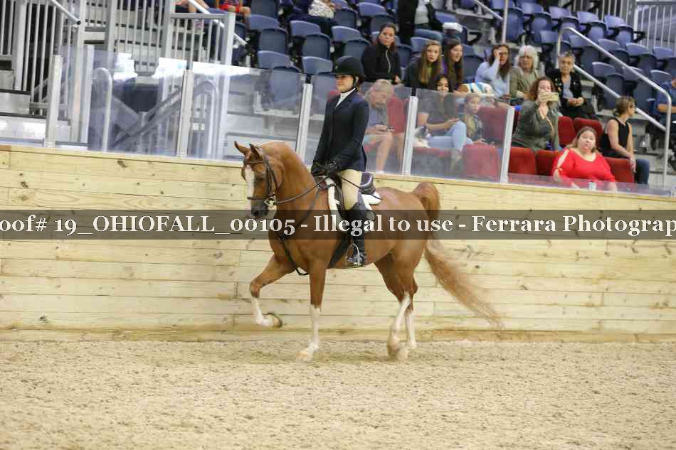 Proof 19_OHIOFALL_00105
