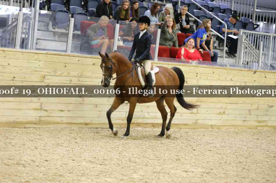 Proof 19_OHIOFALL_00106