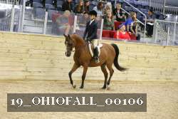 19_OHIOFALL_00106 proof