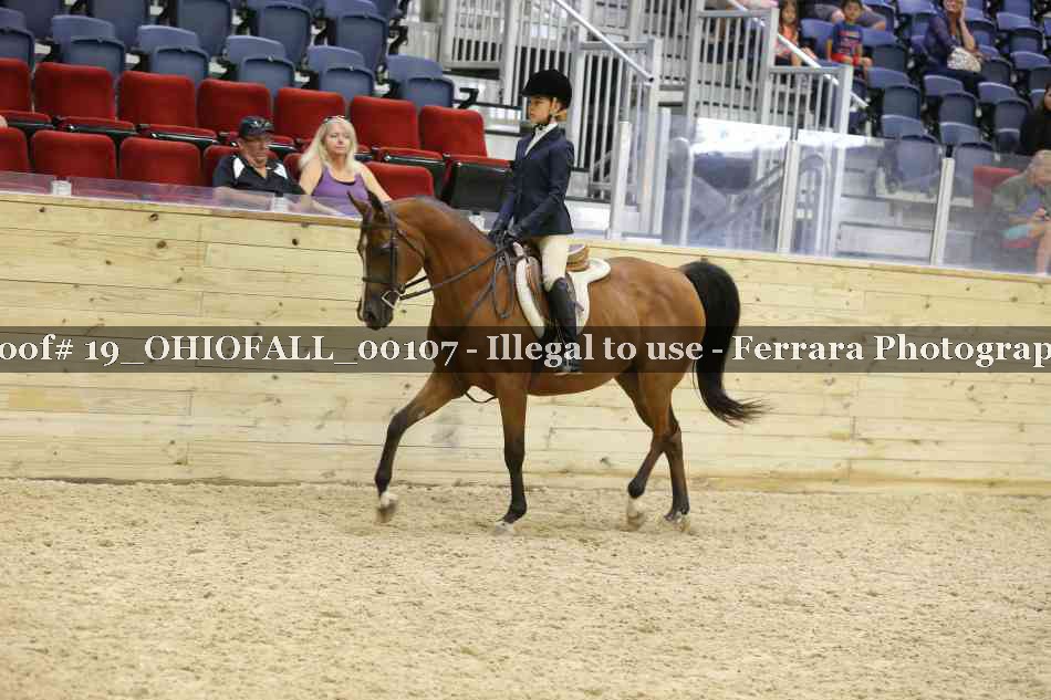 Proof 19_OHIOFALL_00107