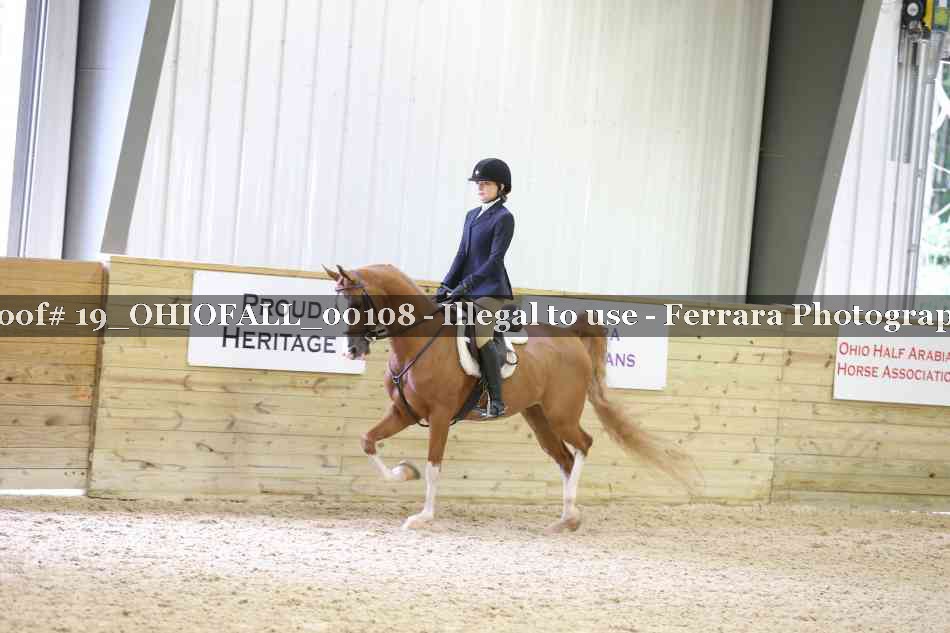 Proof 19_OHIOFALL_00108