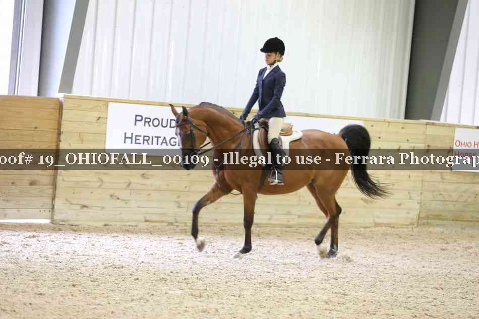 Proof 19_OHIOFALL_00109