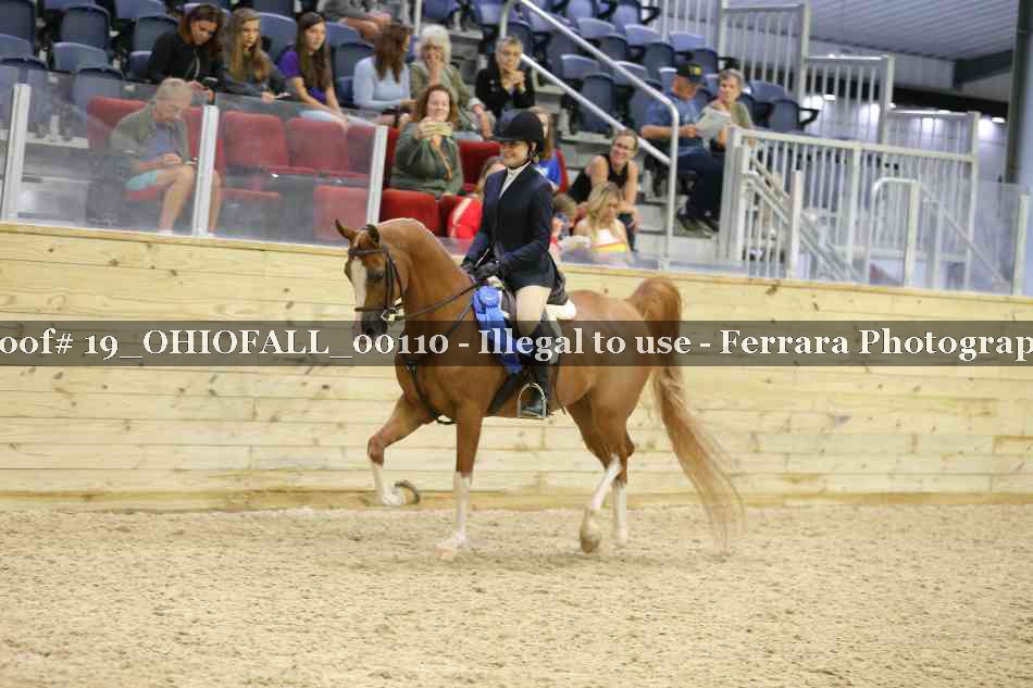 Proof 19_OHIOFALL_00110