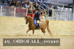 19_OHIOFALL_00110 proof