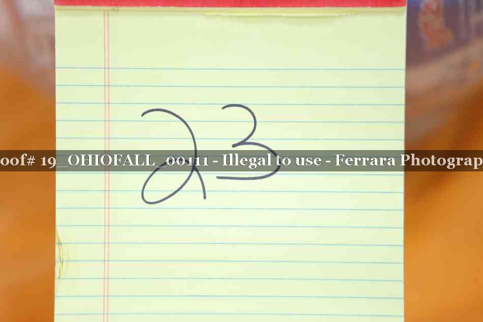 Proof 19_OHIOFALL_00111