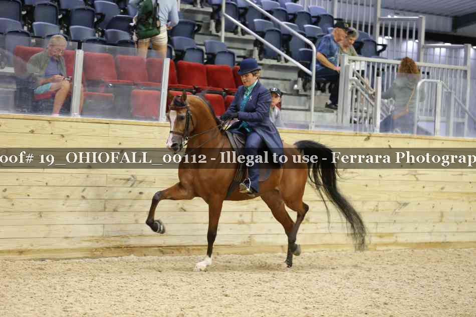 Proof 19_OHIOFALL_00112