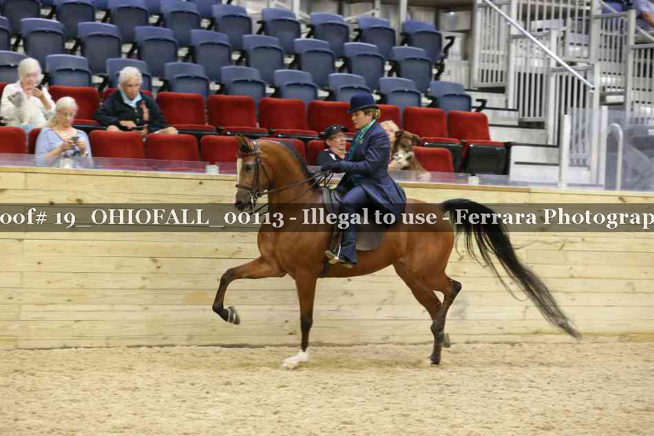 Proof 19_OHIOFALL_00113