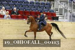 19_OHIOFALL_00113 proof