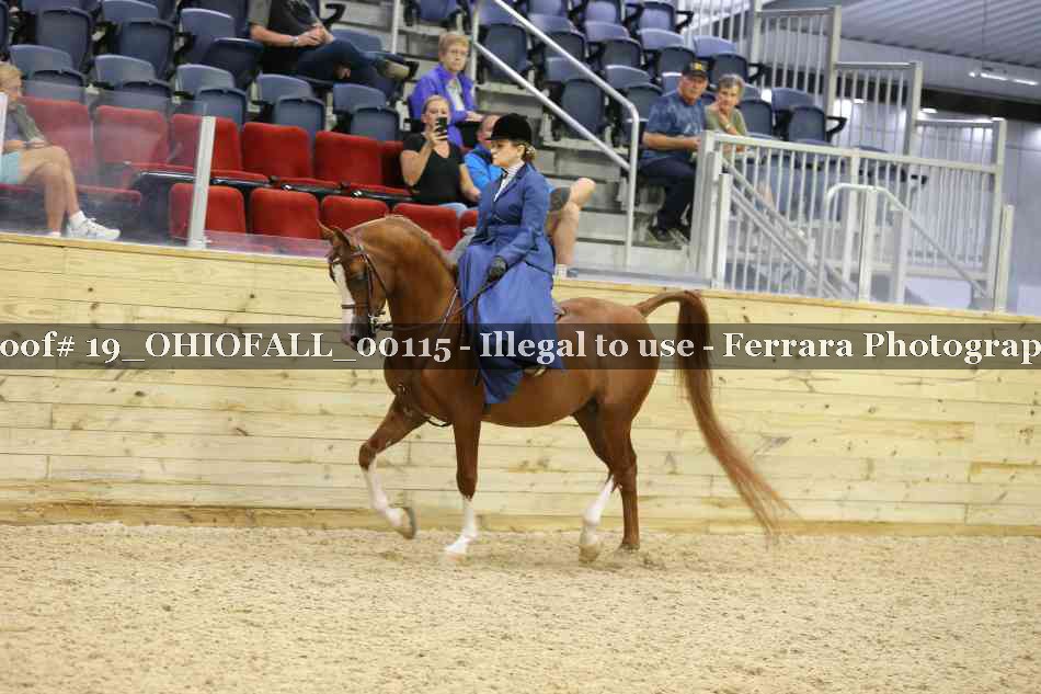 Proof 19_OHIOFALL_00115