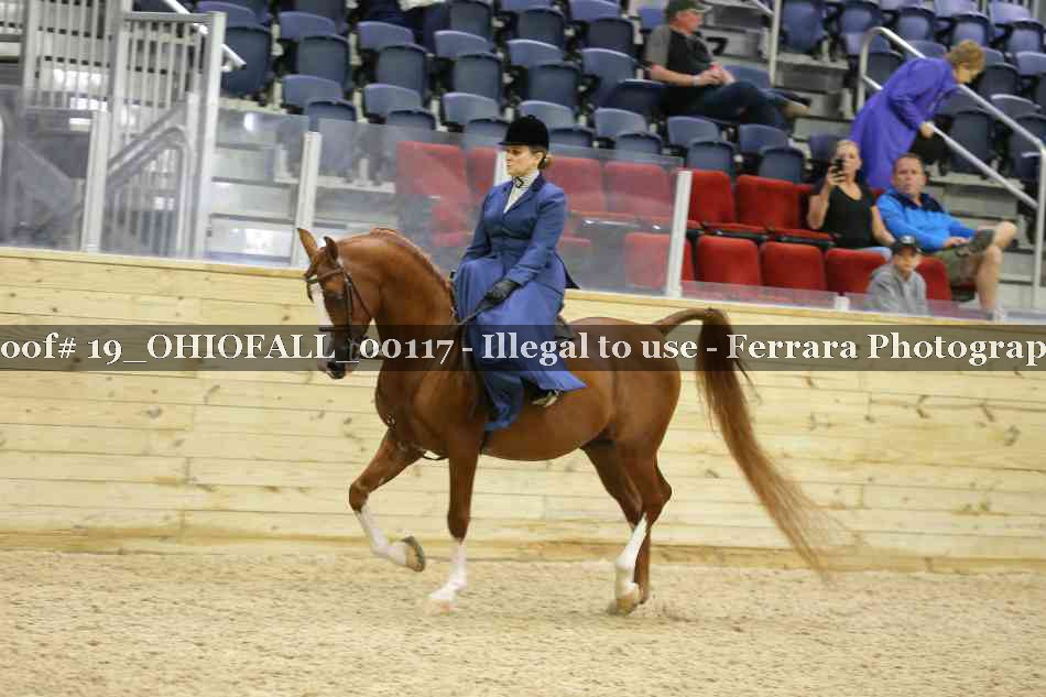 Proof 19_OHIOFALL_00117