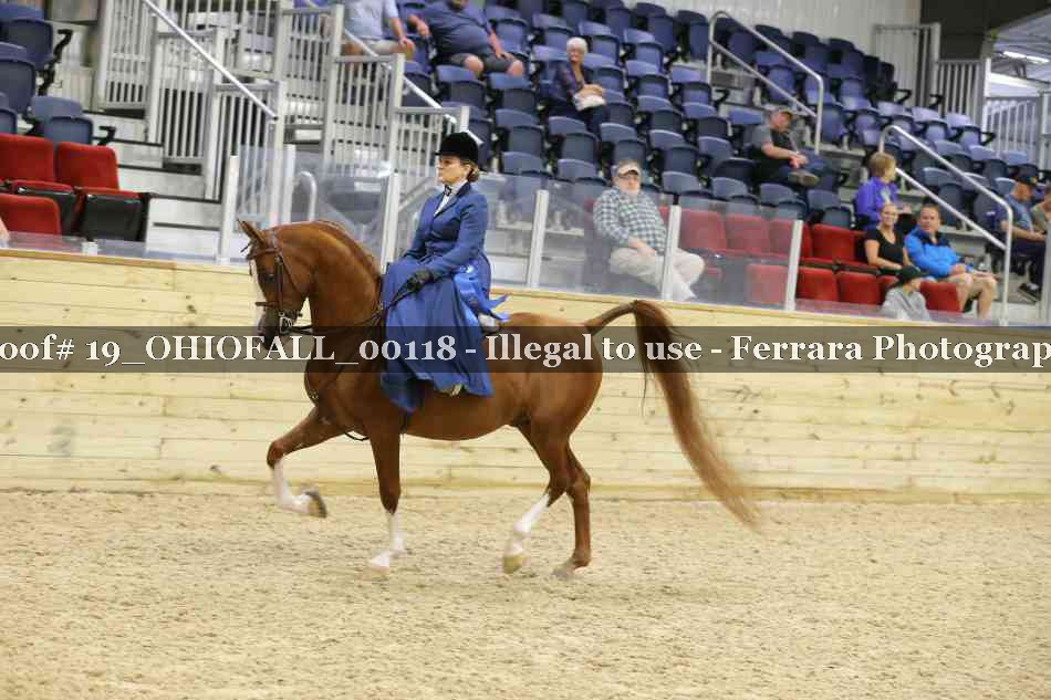 Proof 19_OHIOFALL_00118