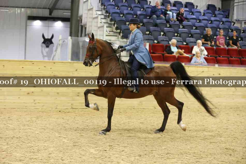 Proof 19_OHIOFALL_00119