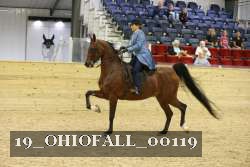 19_OHIOFALL_00119 proof