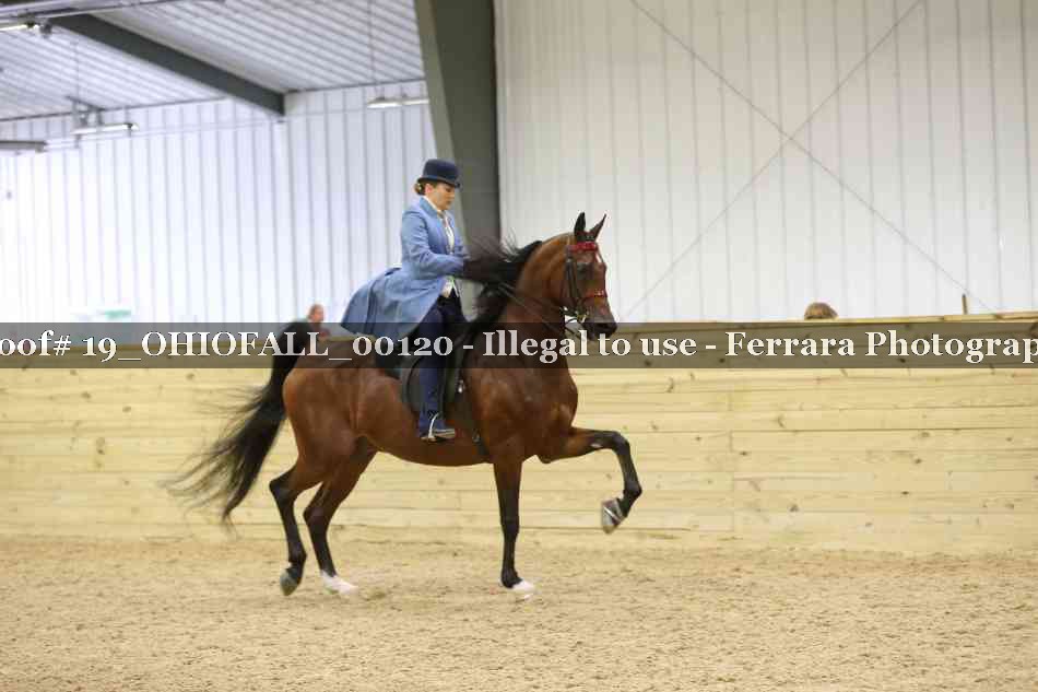 Proof 19_OHIOFALL_00120