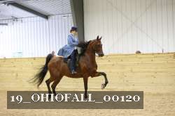 19_OHIOFALL_00120 proof